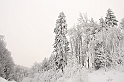 Bieszczady 12.2007 003